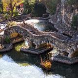 Japanese Tea Garden