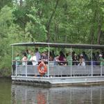 Jean Lafitte Swamp Tour