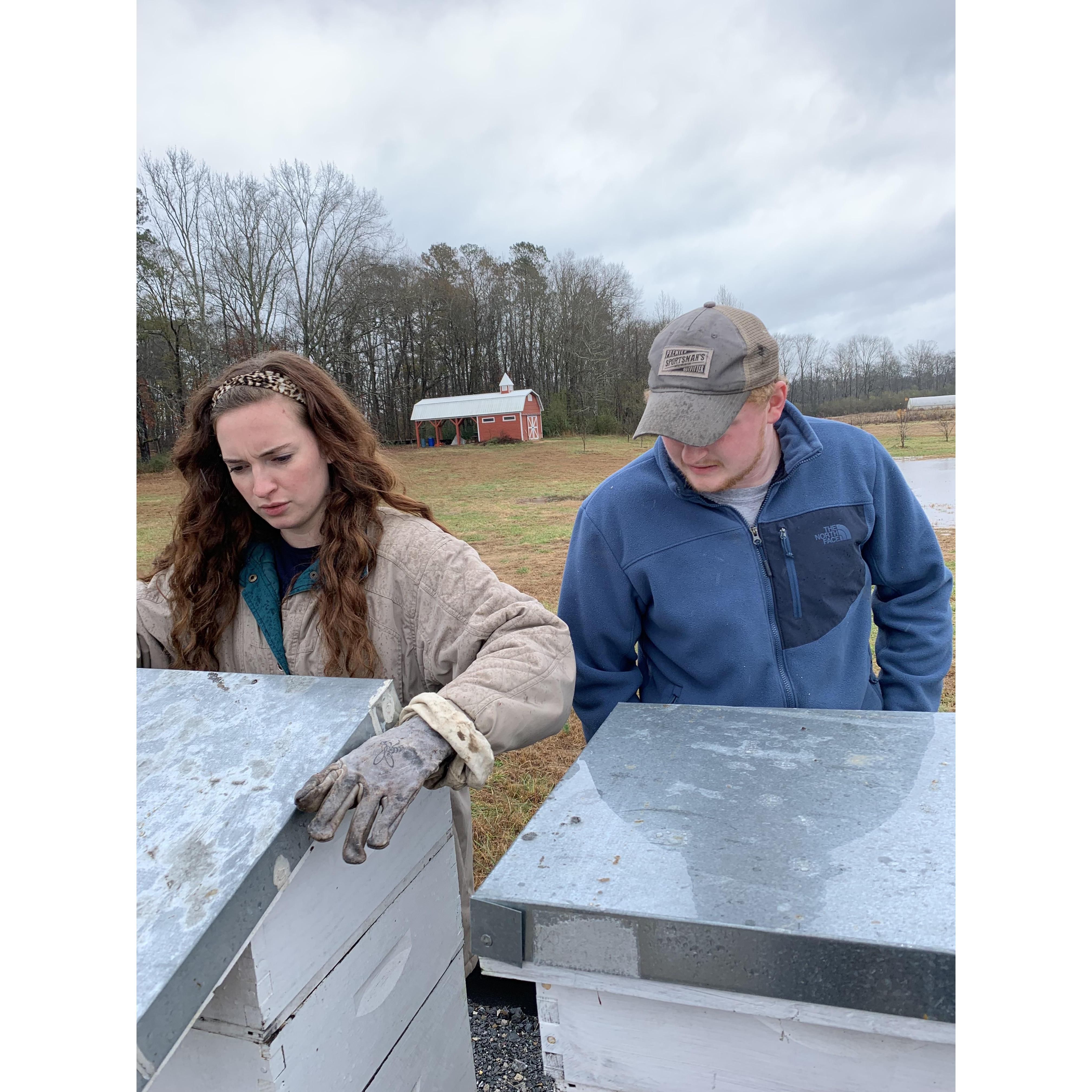 Thomas helping me check on the bees