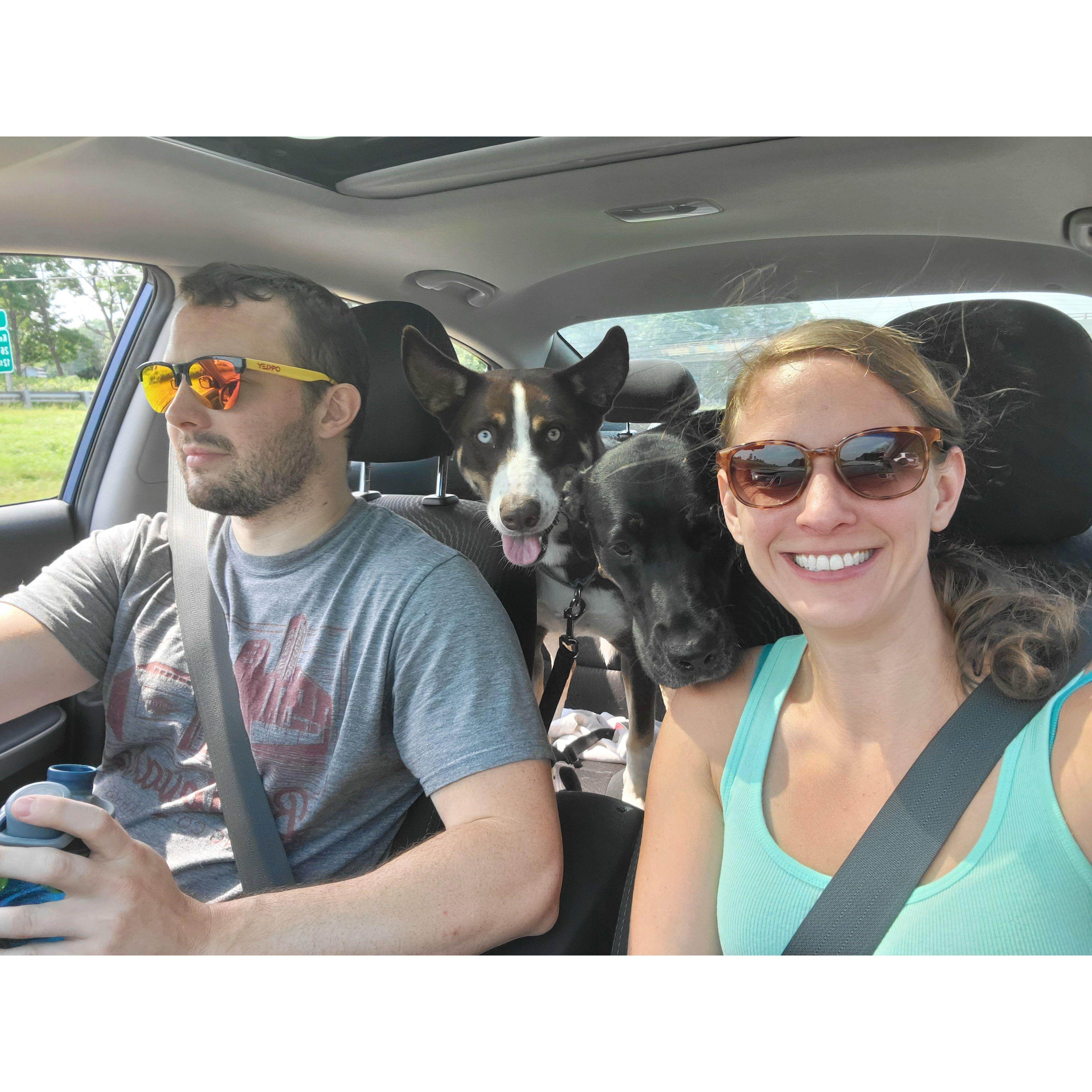 On our way to hike in Allegheny National Forest. Fun fact - Riker is super fun to travel with! Ask us about it sometime.