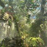 San Antonio Botanical Garden