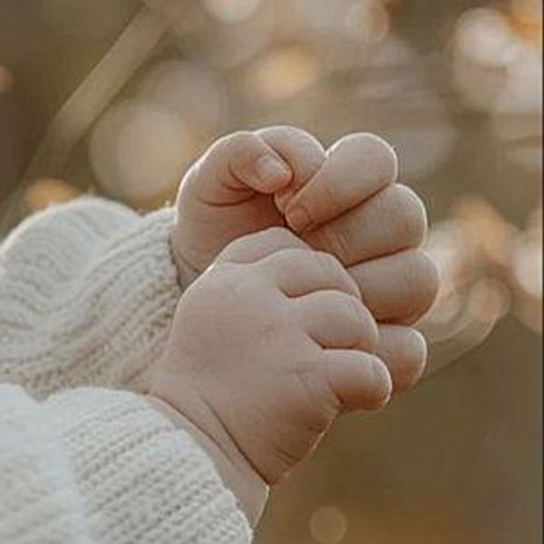 Starting a Family Fund