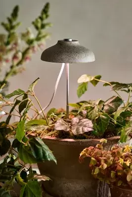 Adjustable Bamboo Grow Light