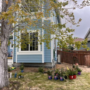 Basement Renovation Fund