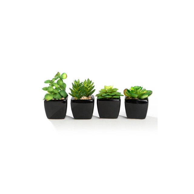 K-Cliffs Set of 4 Mini Artificial Succulents Small Fake Cactus Decorative Faux Plants Potted in Cube-Shape Black Ceramic Pots Bathroom Office Decor