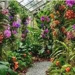 Marie Selby Botanical Gardens Downtown Sarasota