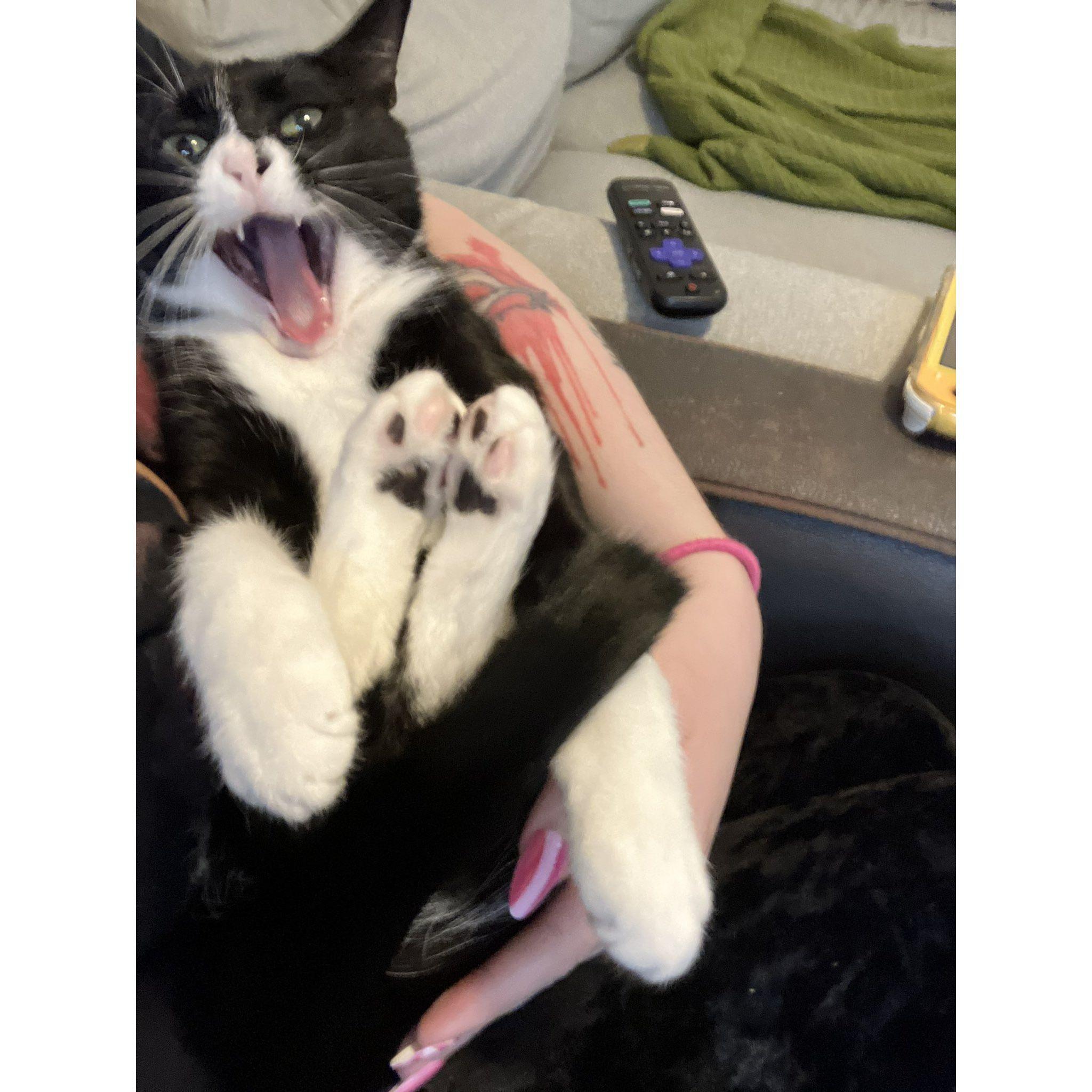 BIG YAWN!
