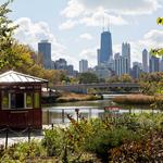 Lincoln Park Zoo and Nature Boardwalk