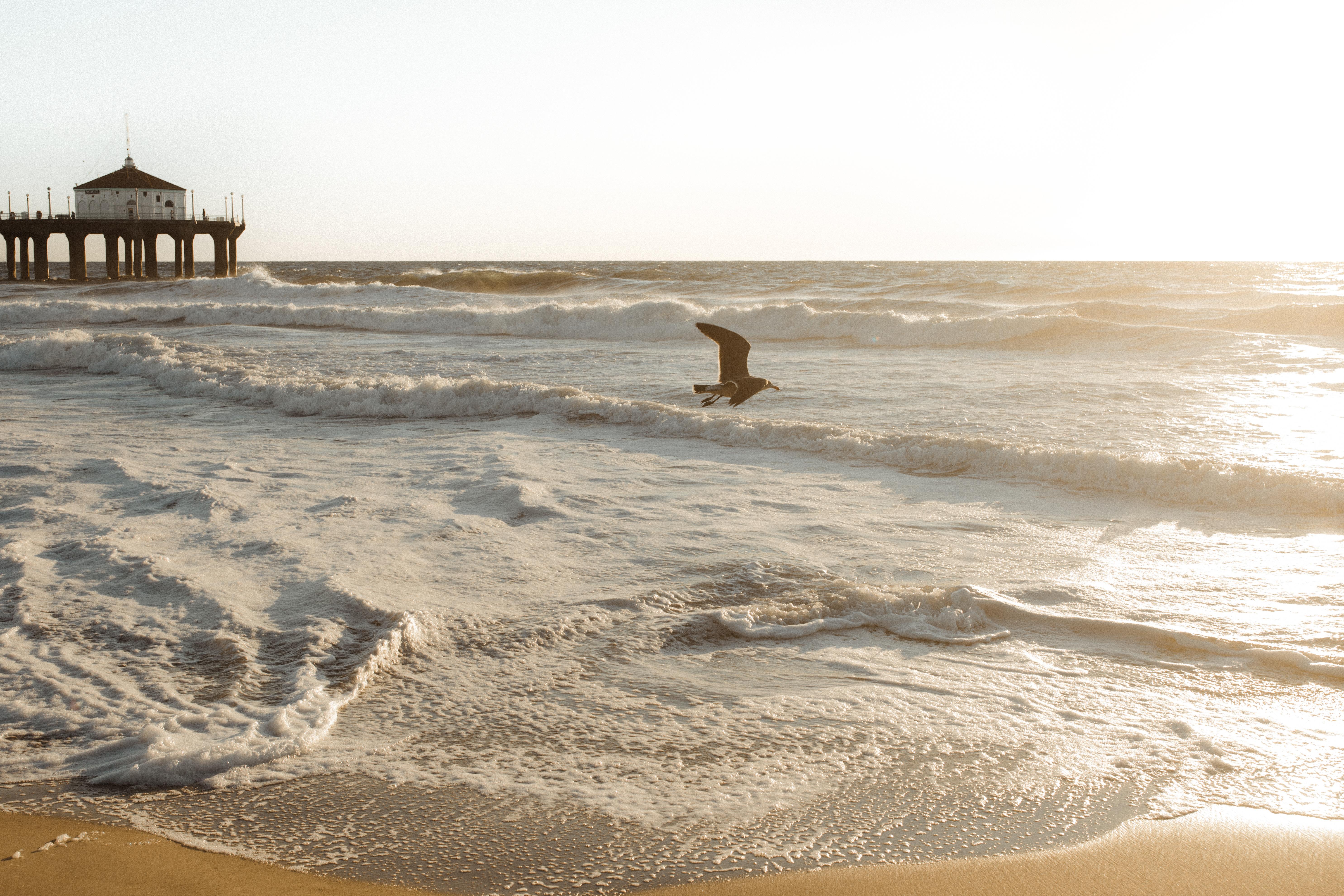 The Wedding Website of Capriel Stevenson and David Goldich