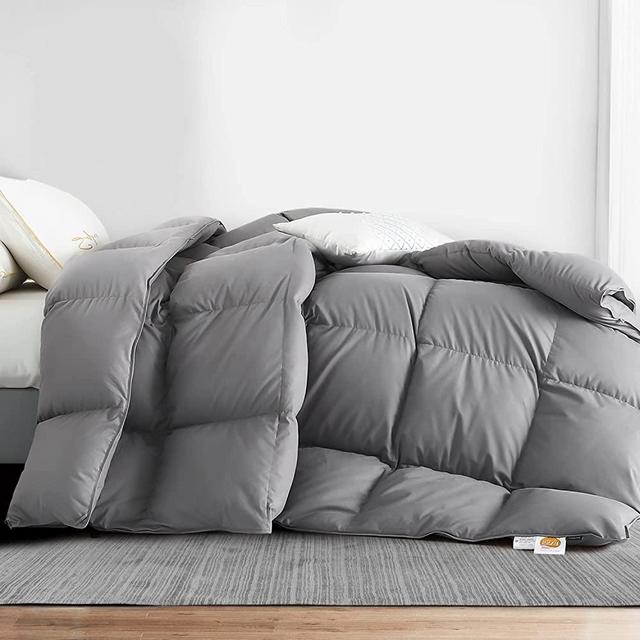 Globon Goose Down Comforter Queen Size Duvet Insert Medium Weight for All Season ,38OZ,650 Fill Power ,100% Cotton, Medium Warmth with Corner Tabs Grey