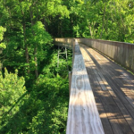 Sarett Nature Center