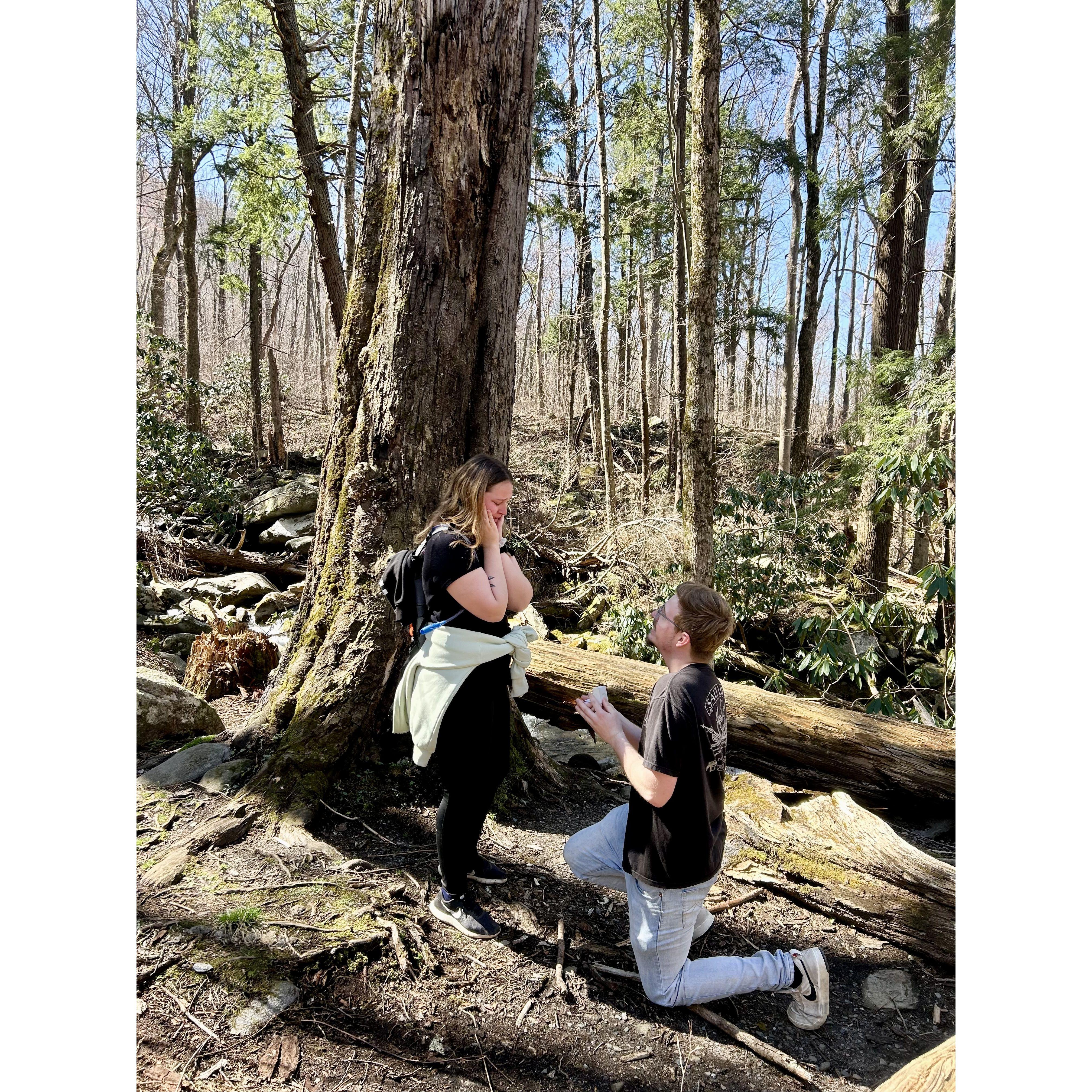 The moment he asked and I said YES!