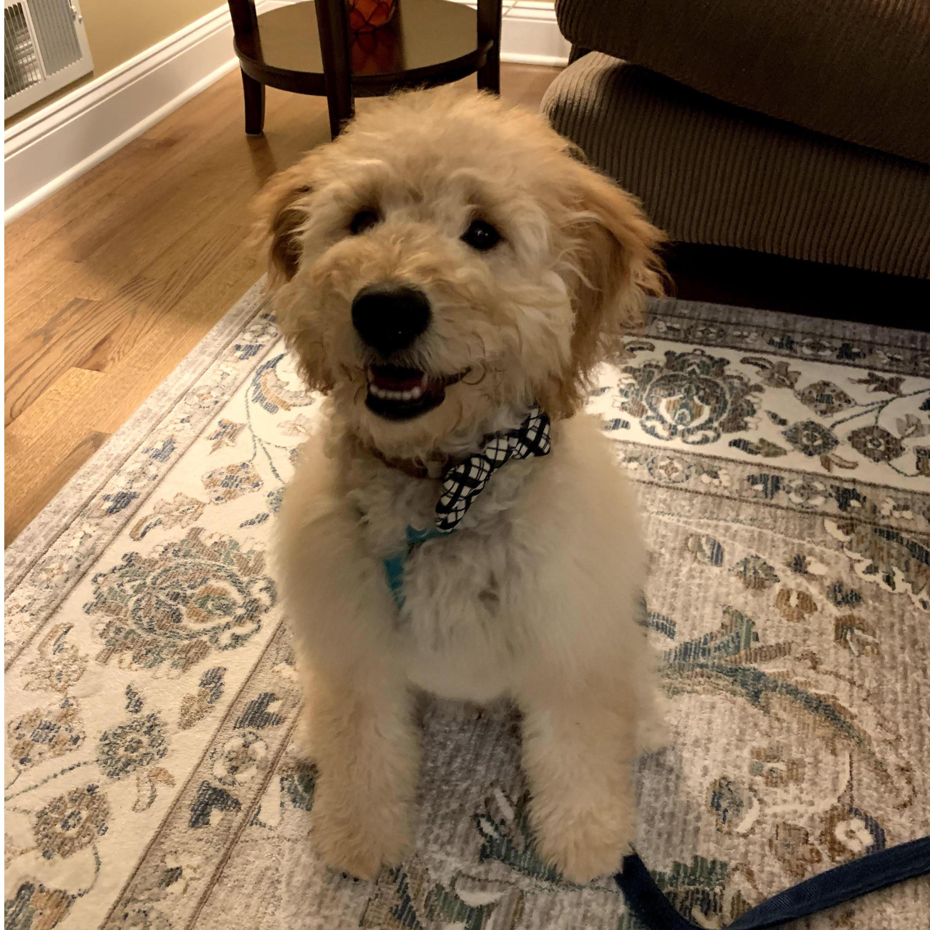 Ready to party!