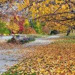 Highland Park