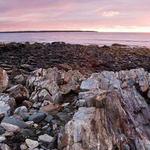 Odiorne Point State Park
