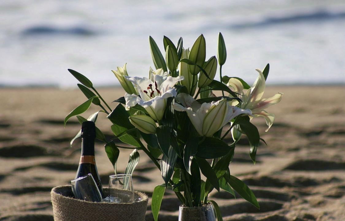 The Wedding Website of Kevin Swimmer and Anna Huber