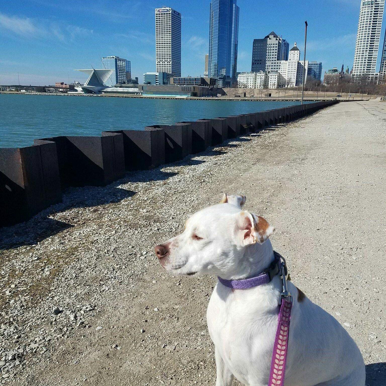 On our favorite walk at Veterans Park