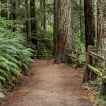 Hoyt Arboretum