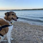 Sagamore Hill National Historic Site