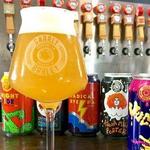 Gnarly Barley Brewing