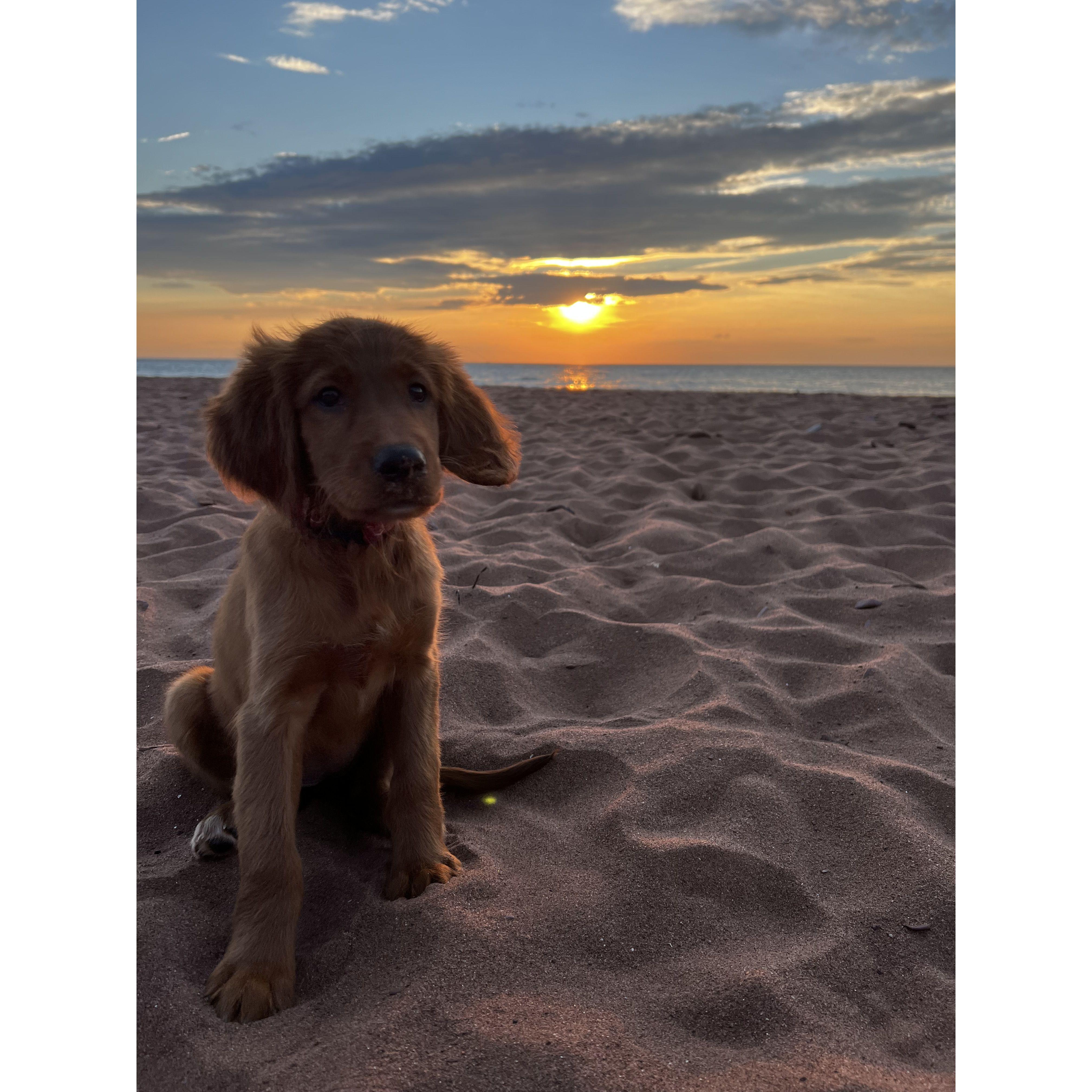 baby Charlie in PEI 2022