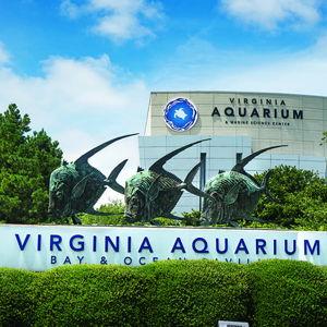 Virginia Aquarium Tickets