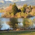 Spring Lake