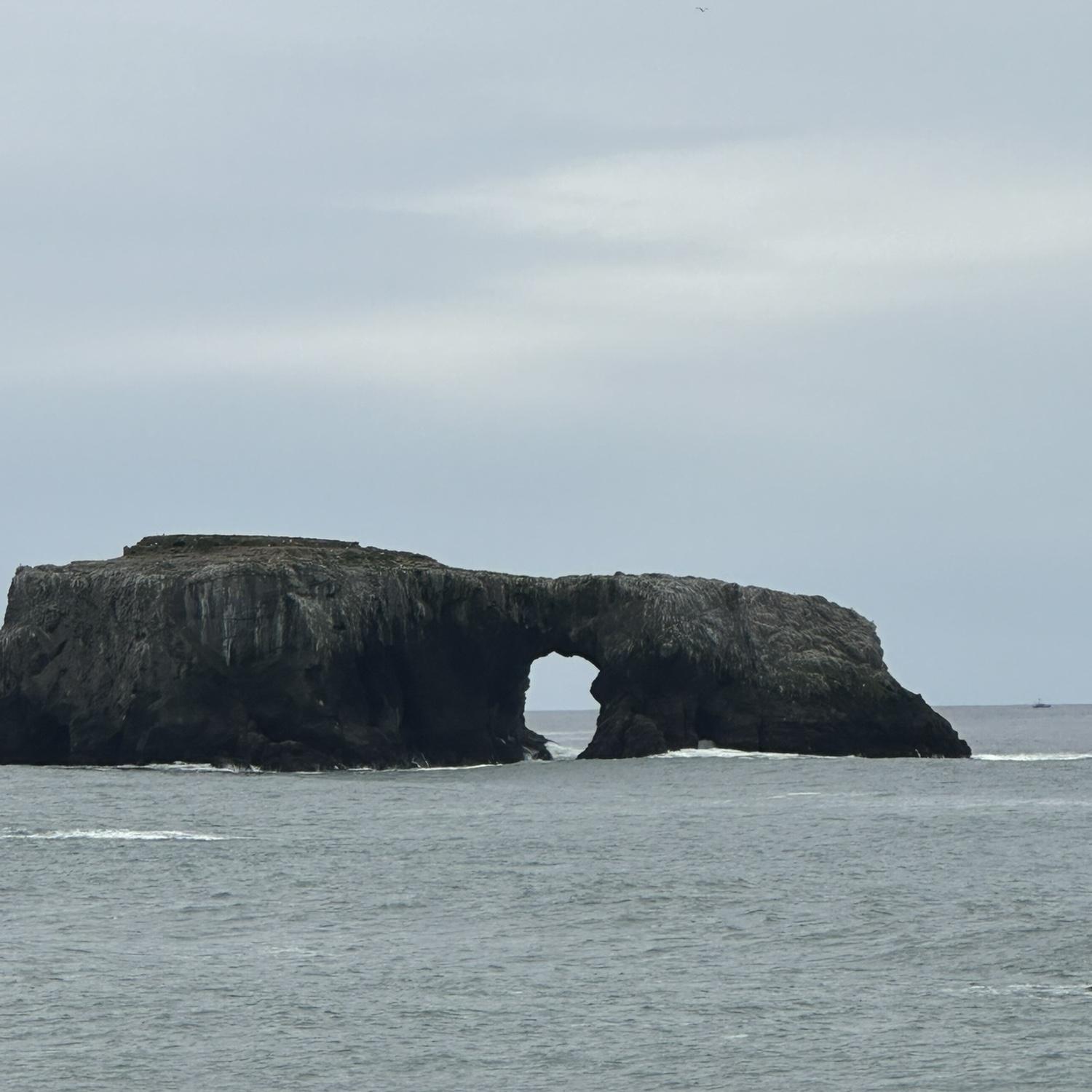 Goat rock beach