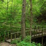 Cedar Ridge Preserve