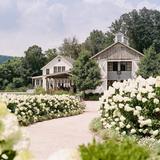 Pippin Hill Farm & Vineyards