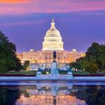 Washington D.C.