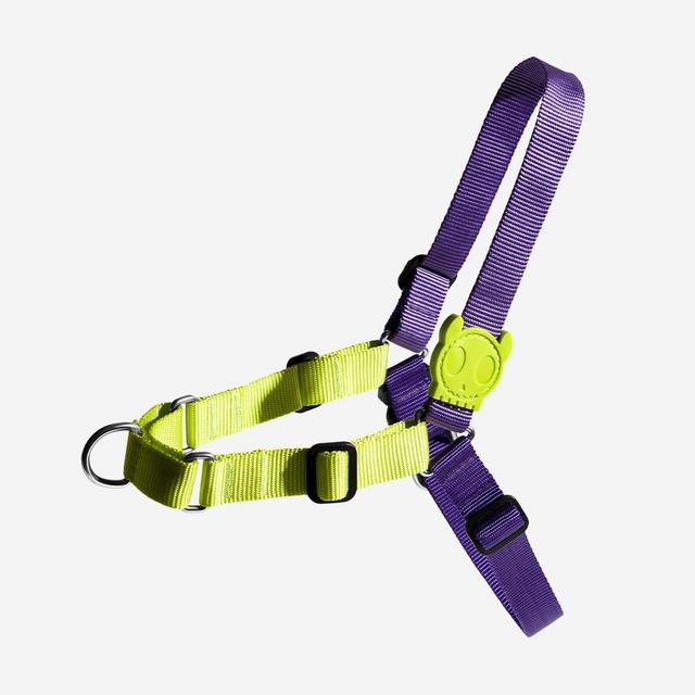 Soft-Walk Harness 4 Dale