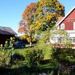 Bnb Barbro i lövsten