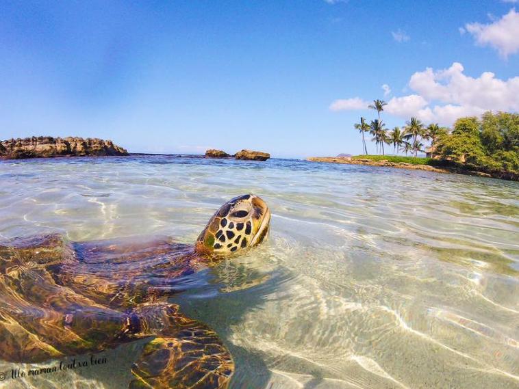 79401799-b8fd-40fa-92fb-5f05520e8d4c