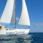 Sailing and Dolphin Tour