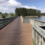 Cross Island Trail trailhead