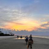 Take a Horseback Ride on the Beach