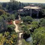 Japanese Tea Garden