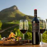 The World Premier Cape Winelands Region