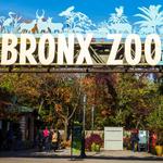 Bronx Zoo