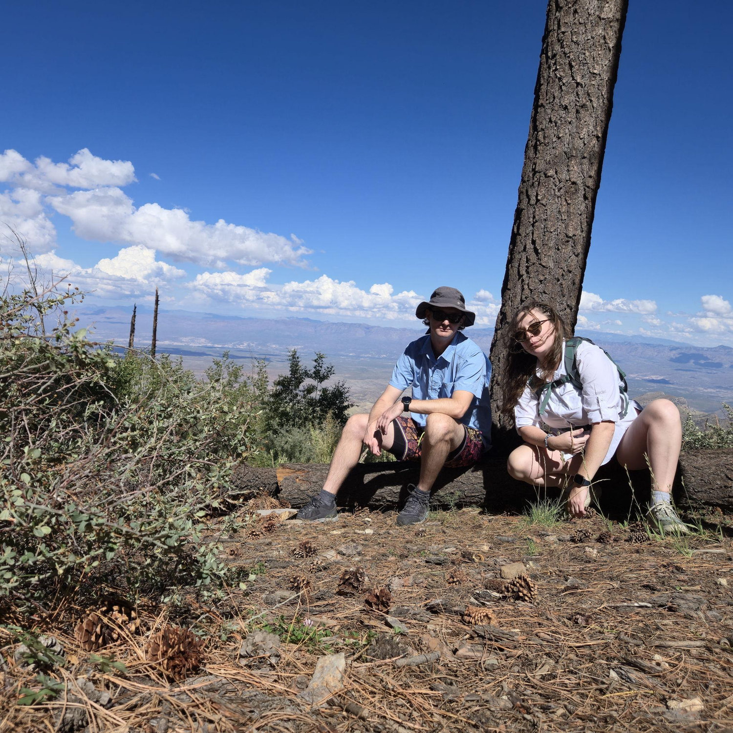 Mt Lemmon, 2025