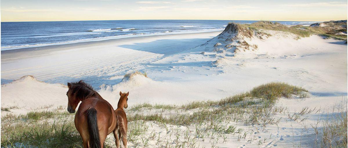 The Wedding Website of Melissa Perna and Tyler Reinhold