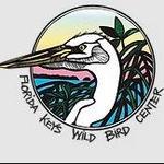 Wild Bird Sanctuary - Florida Keys Wild Bird Center