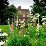 Tate House Museum