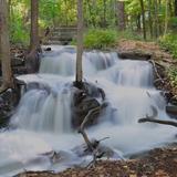 Parkville Nature Sanctuary