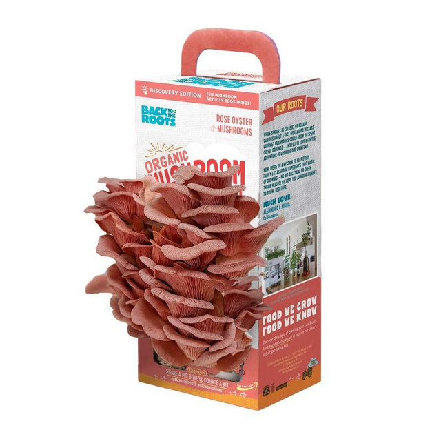 Back to the Roots Organic Pink Grow Kit, Harvest Gourmet Oyster Mushrooms