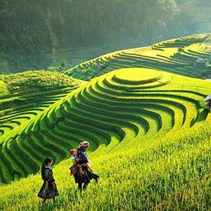 Vietnam and Thailand Honeymoon Fund