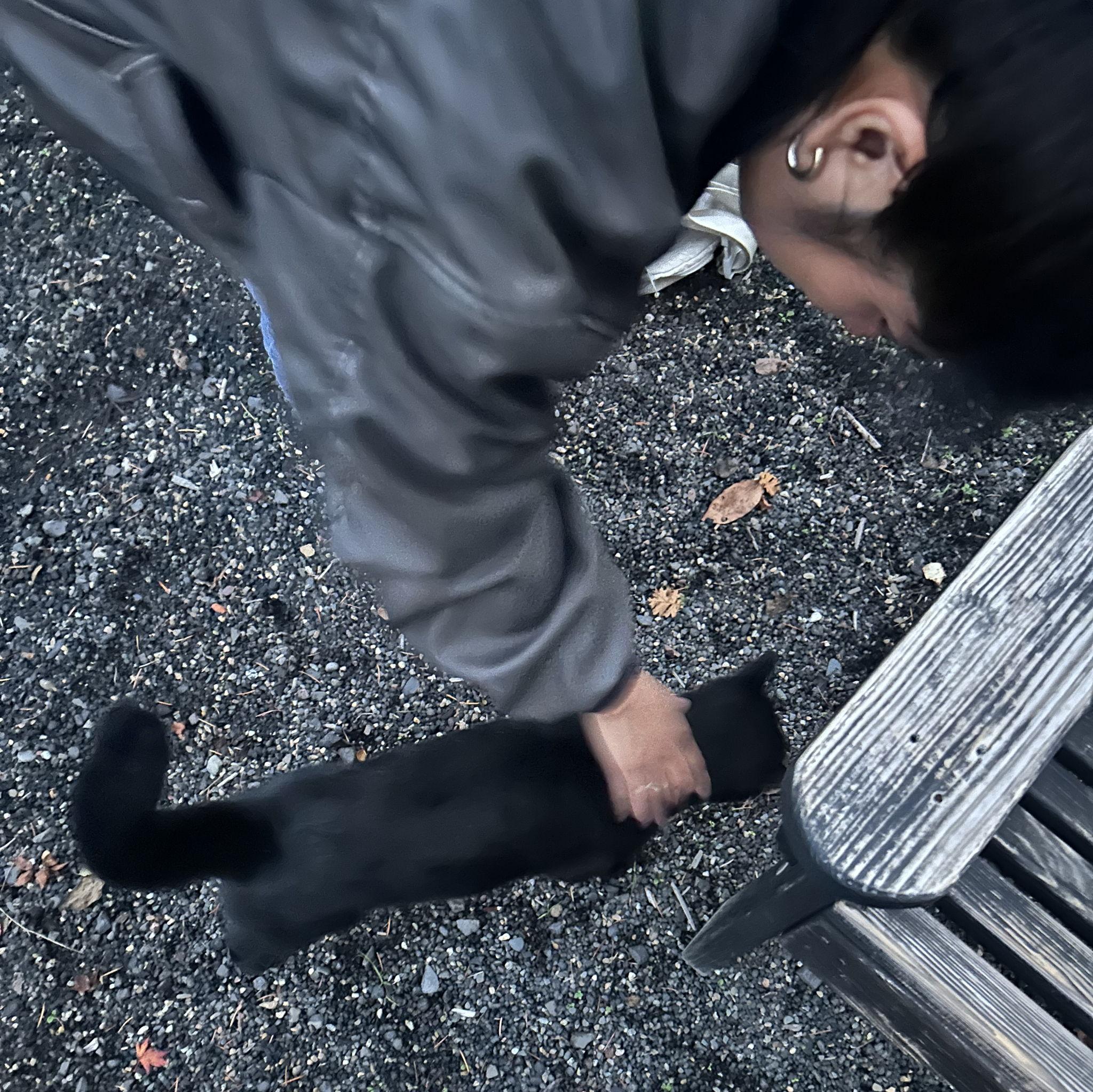 Met a friend day of the proposal!