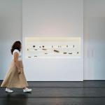 The Menil Collection