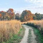 The Labyrinth at Avalon Nature Preserve